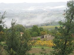 Il cimitero della Pieve di Cellole tra i vigneti, sullo sfondo nebbia mattutina sulla val d'Elsa