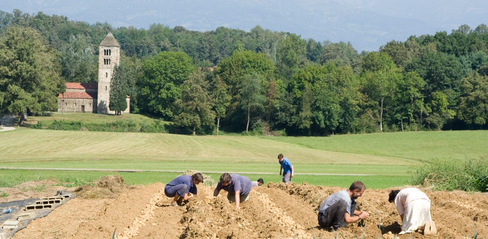 14_04_14_bose_lavoro_orto_02